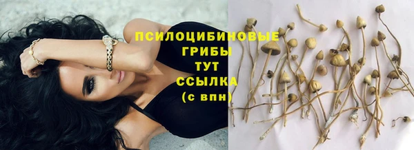 спайс Мегион