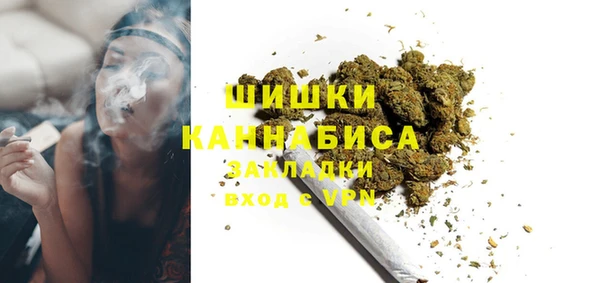 шишки Вяземский