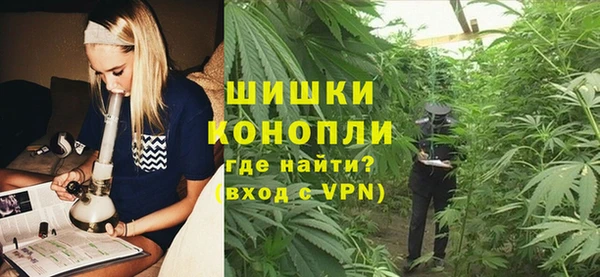 спайс Мегион