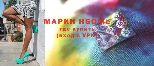 индика Гусь-Хрустальный