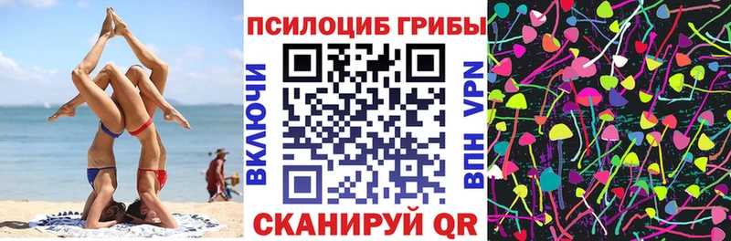 что такое наркотик  Георгиевск  Псилоцибиновые грибы Psilocybe 