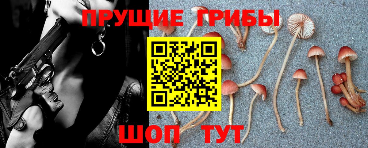 Гашиш Георгиевск