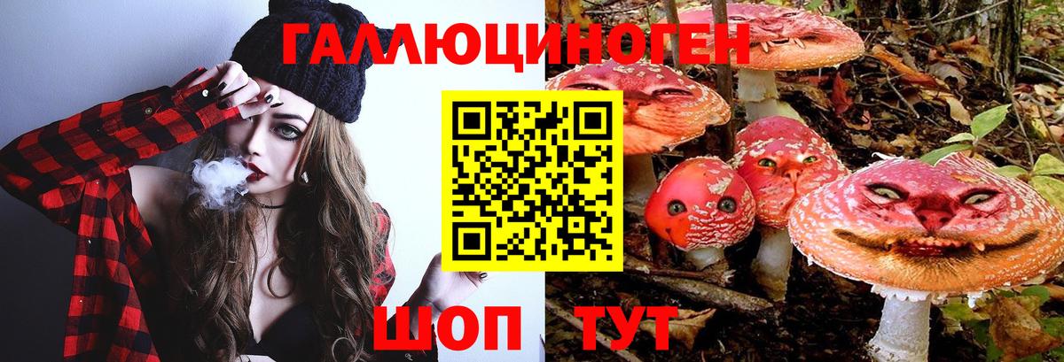 Галлюциногенные грибы прущие грибы  Вход с VPN  Георгиевск 