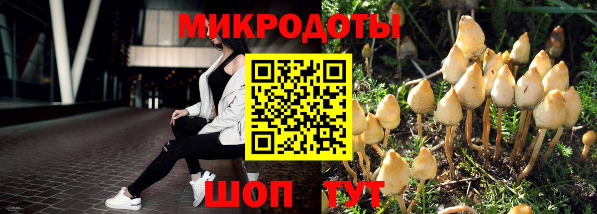 Галлюциногенные грибы Magic Shrooms  Георгиевск 