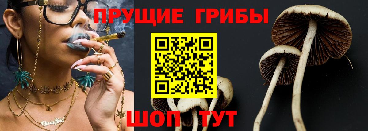 Псилоцибиновые грибы прущие грибы Георгиевск